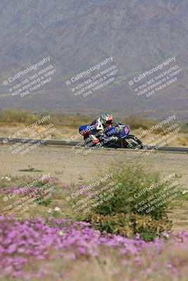 media/Feb-04-2023-SoCal Trackdays (Sat) [[8a776bf2c3]]/Turn 15 Inside Blooming (1050am)/